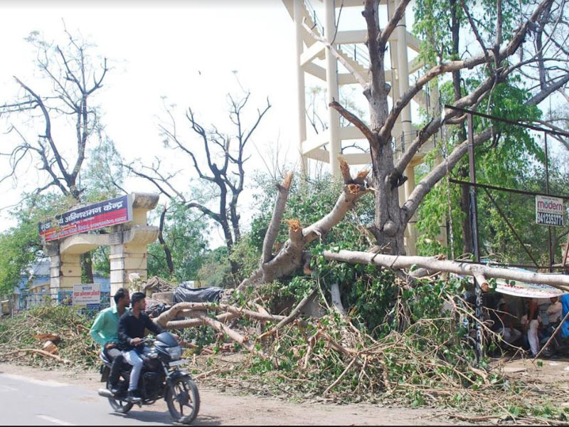 132 किमी की रफ्तार से आया तूफान,  अब तक 36 लोगों की हुई मौत