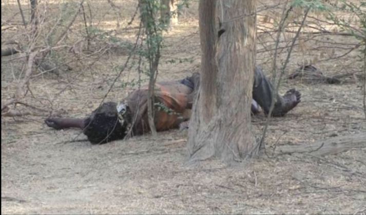 कानपुर: जंगल मे पेड़ से लटका मिला युवक का शव, हत्या या आत्महत्या